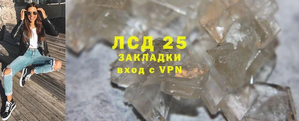 прущие грибы Няндома