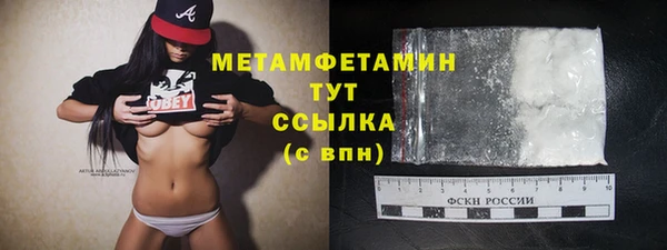 прущие грибы Няндома