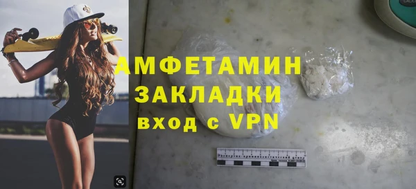 прущие грибы Няндома