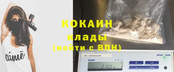 прущие грибы Няндома