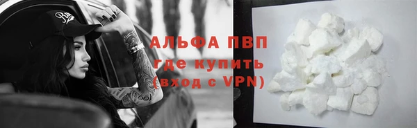 прущие грибы Няндома