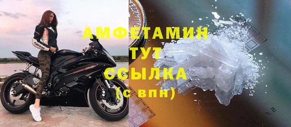 прущие грибы Няндома