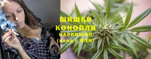 прущие грибы Няндома