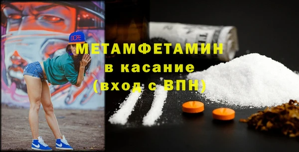 прущие грибы Няндома